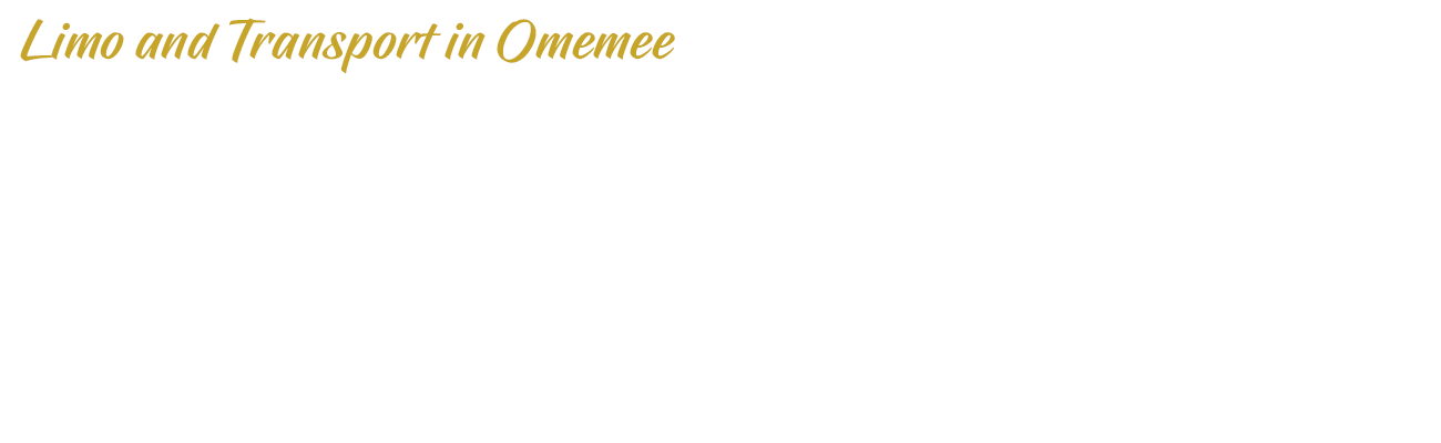 Limo and Transport in Omemee | Overlay | D.G. Transportation Limousine Service