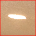 Edmonton Ceiling Refinishing - 1 (833) 724-6880
