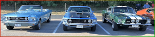 Markham Stouffville Cruisers
